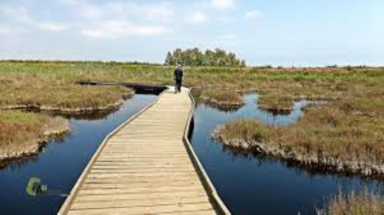 Apartamento Cerca De Playa Y Montana Ideal Familias O Relax Puzol Kültér fotó